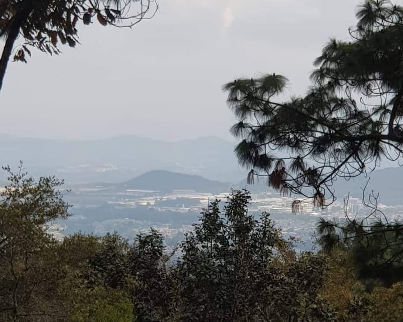 EL ENCINAL/ TERRENO EN VENTA