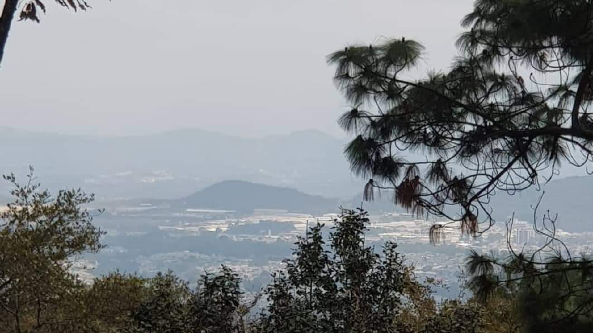 EL ENCINAL/ TERRENO EN VENTA