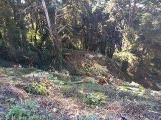 TERRENO EN VENTA EN STA ROSALIA LA LAGUNA - 3