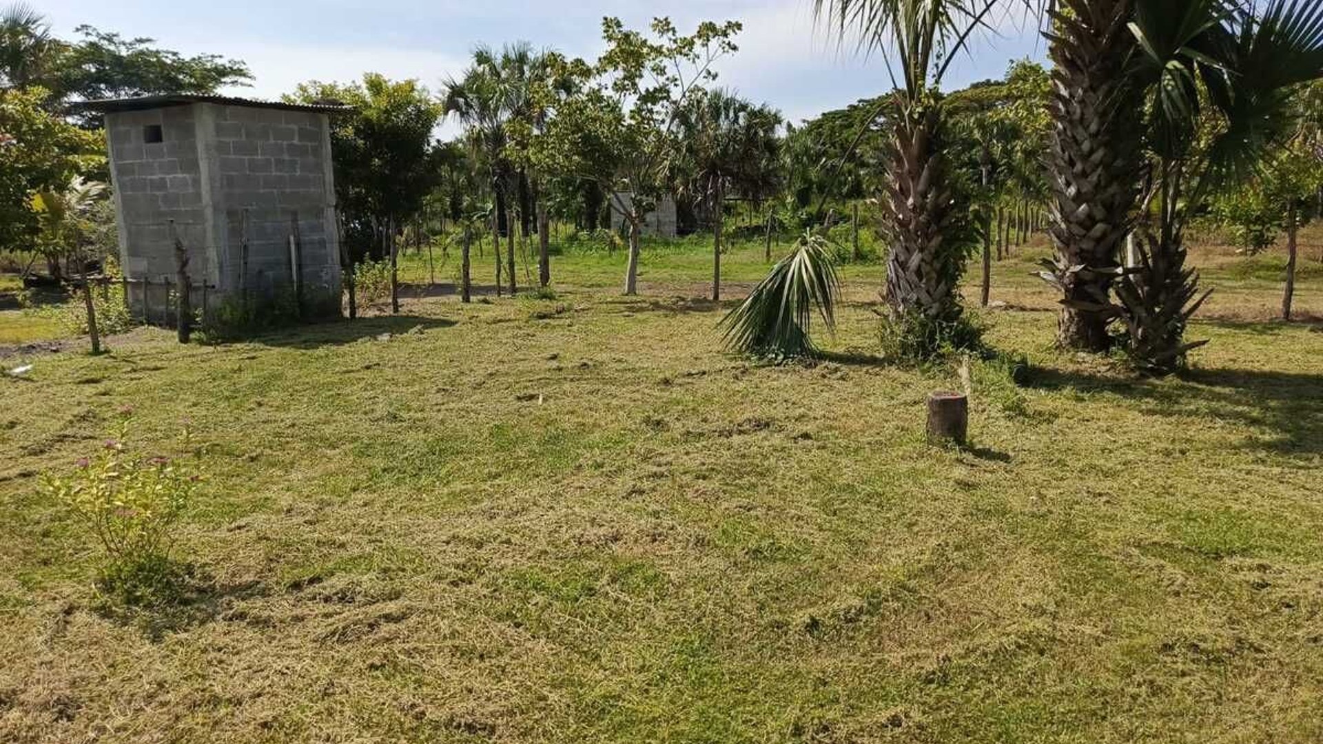 GANGA TERRENO EN VENTA – ALDEA EL CEBOLLITO, HAWÁI CHIQUIMULA - Miniatura 10