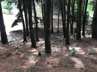 Muxbal/ Terreno en venta, CES - 3