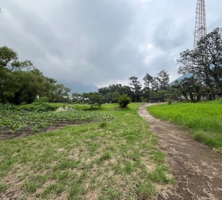 VENTA Terreno Los Sauces Km.37 Palín Escuintla