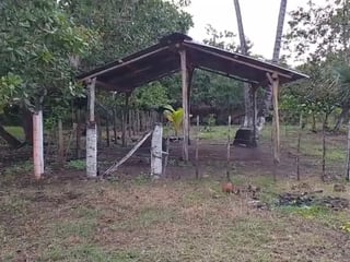 TERRENO EN VENTA – ALDEA EL CEBOLLITO, HAWÁI CHIQUIMULA - 4