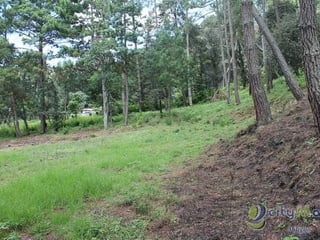 TERRENO EN VENTA EN SANTA MARIA CAUQUE - 3