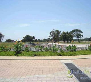 TERRENO EN VENTA EN CARRETERA A PUERTO QUETZAL
