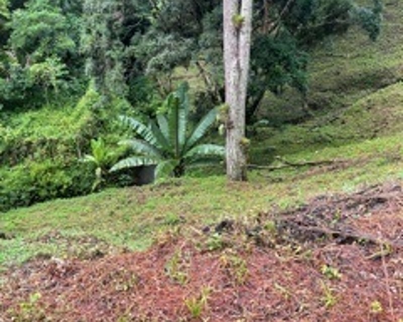 Terreno en VENTA en Muxbal, CES