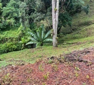 Terreno en VENTA en Muxbal, CES