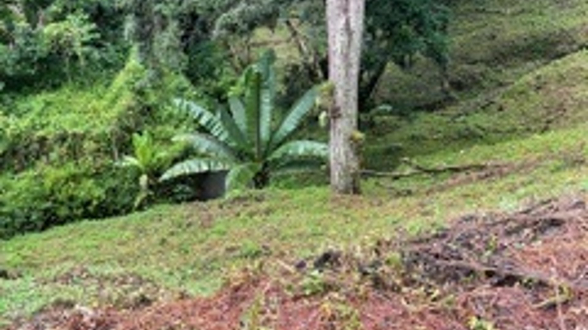 Terreno en VENTA en Muxbal, CES