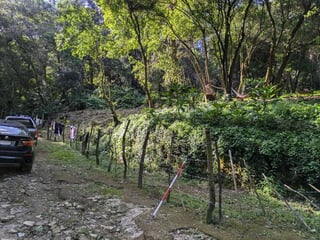 SAN LUCAS / TERRENO EN VENTA - Image 5