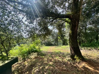 TERRENO EN VENTA EN SAN LUCAS - Image 9