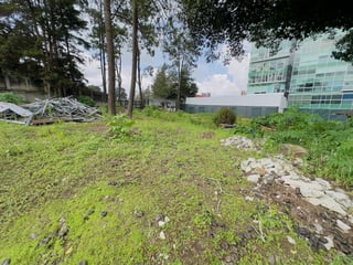 Terreno en ALQUILER en Carretera a El Salvador - Image 7