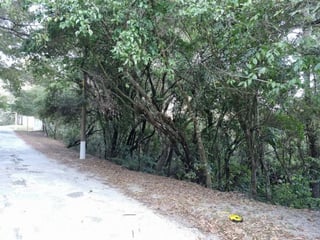 Terreno en Venta en El Encinal, Zona 7 de Mixco - 4