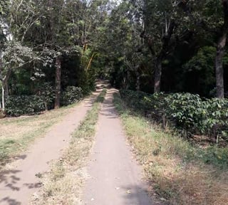 Se vende Finca en Acatenango Chimaltenango