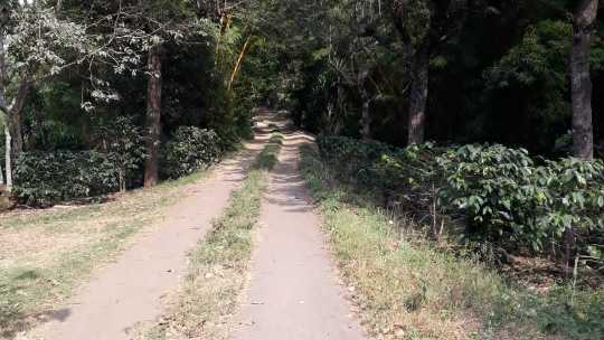 Se vende Finca en Acatenango Chimaltenango - Image 1