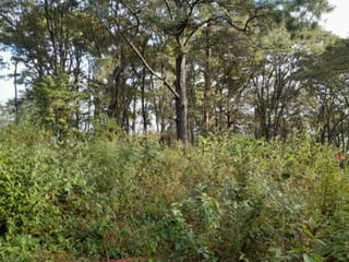 Terreno en Venta San Lucas Sacatepéquez, Guatemala - 2