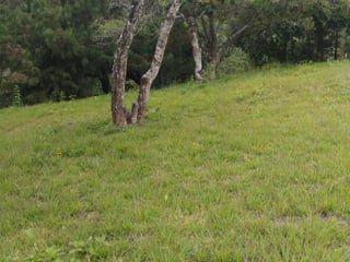 Terreno en venta Bosques de Vilaverde km 26.5 CES - 3