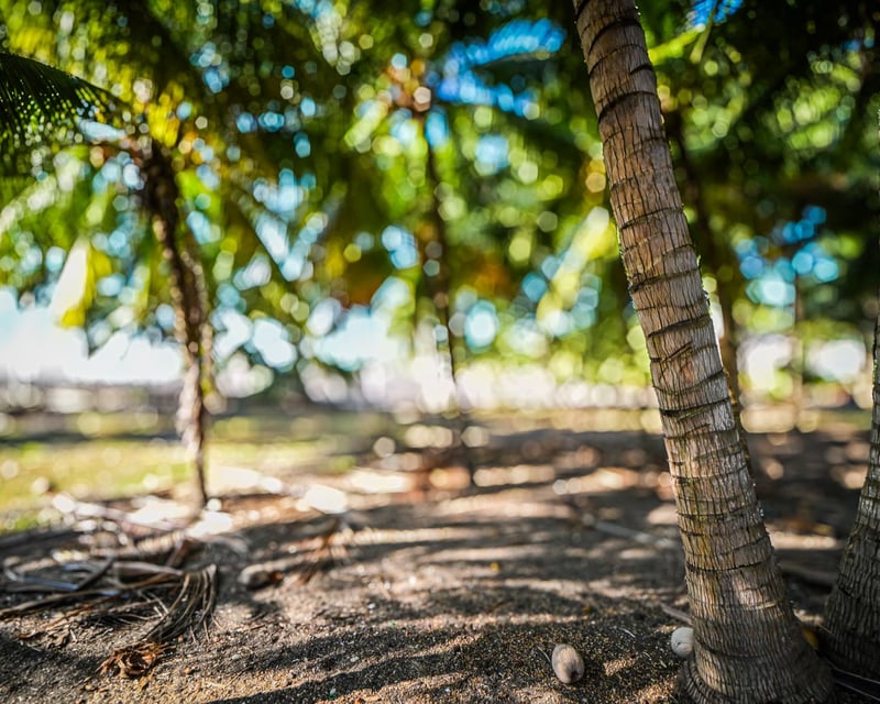 Terreno en Venta en Iztapa, Escuintla 