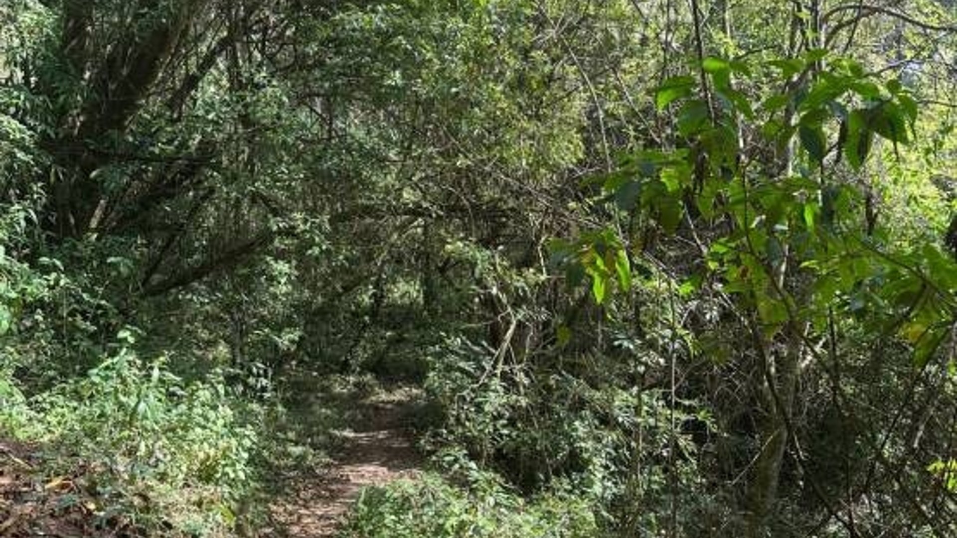 Terreno en Venta, Mixco (V9991) - Miniatura 7