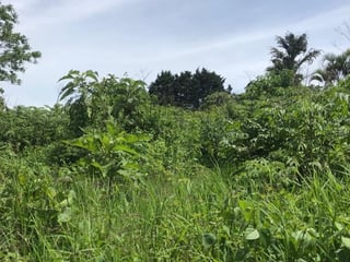 Terreno en Venta en Carretera a Santa Elena Barillas - 3