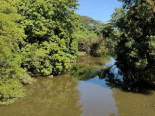Terreno en VENTA en las Lisas Chiquimulilla - 2