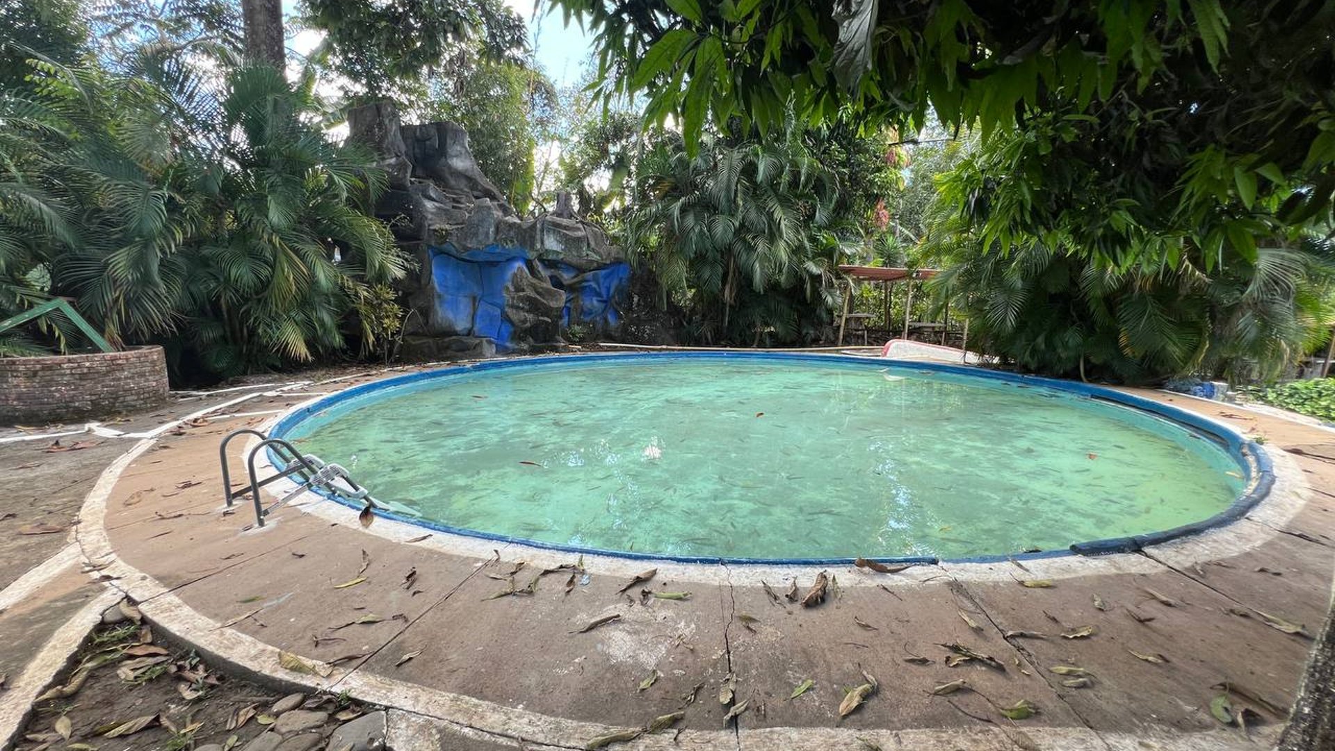 Terreno en Venta en el Km 50.2 en Barberena, Santa Rosa - Miniatura 22