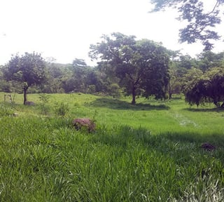 Terreno en Venta en Lagunas de Monterrico