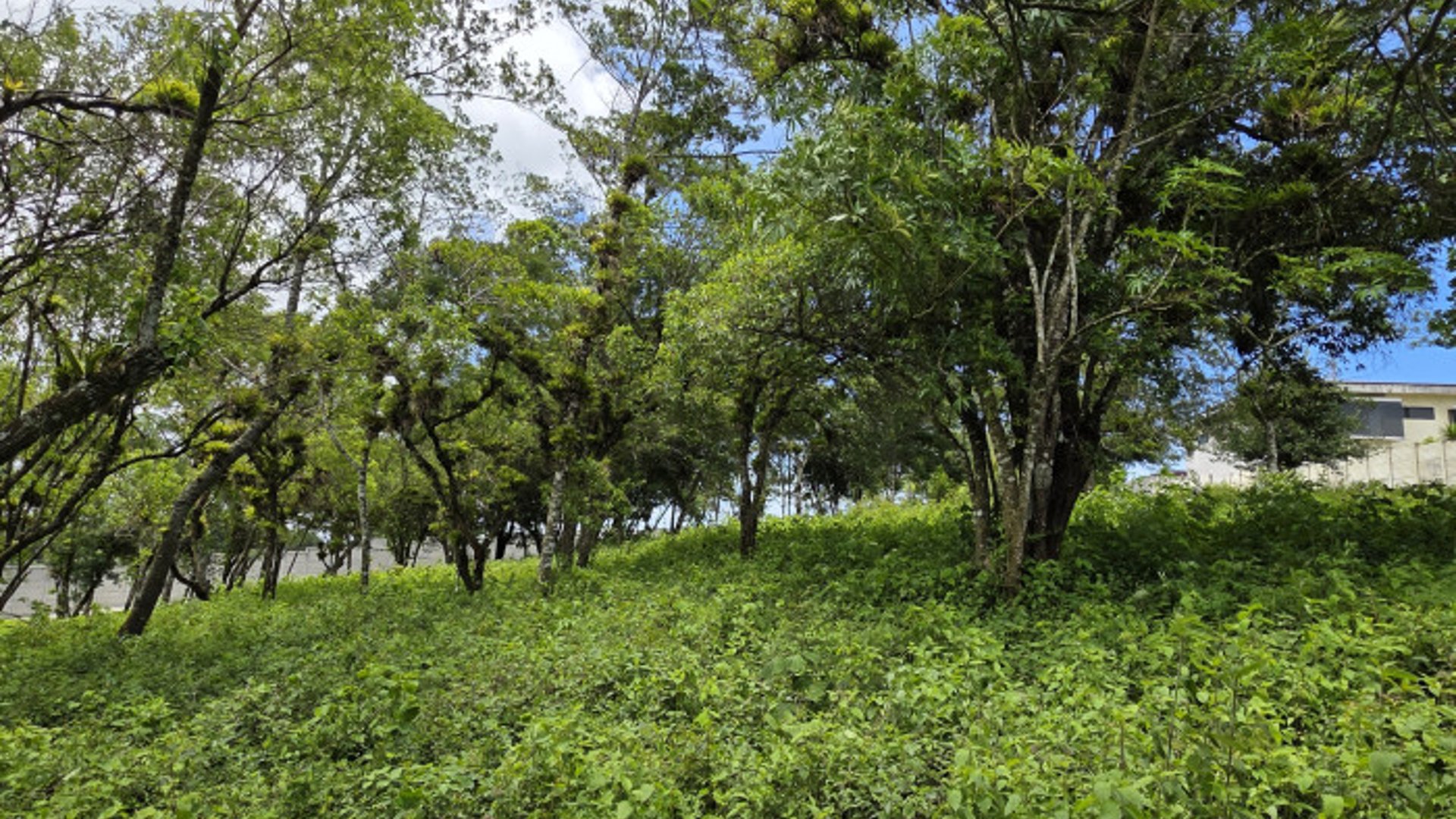 Terreno Venta Altos San Vicente Sta. Catarina Pinula - Miniatura 15