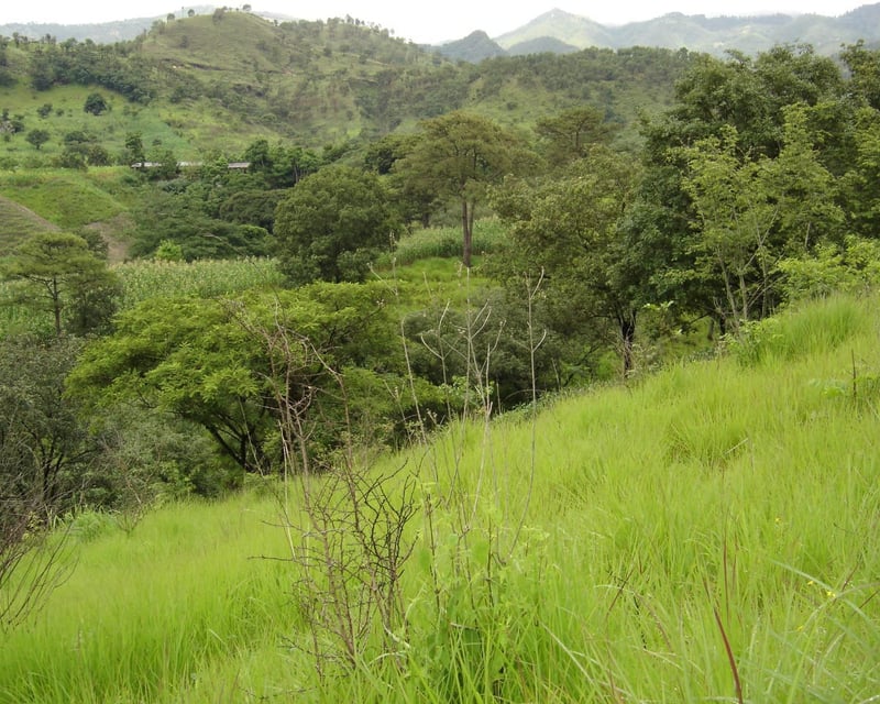 Terreno en Venta Aldea Agua Caliente El Progreso