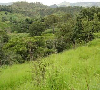 Terreno en Venta Aldea Agua Caliente El Progreso