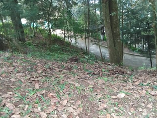 Terreno Residencial en Venta - Santa Lucia Milpas Altas - 4