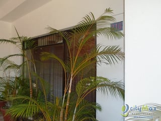 OFICINA COMERCIAL EN VENTA AGUILAR BATRES SUR - 3