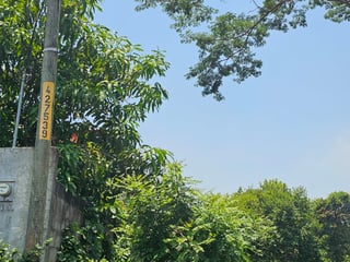 📍 TERRENO EN VENTA – 1,500 M² | QUINTAS VALLARTA | ESCUINTLA - 4