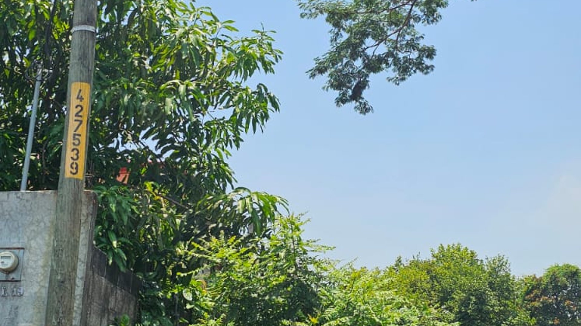 ???? TERRENO EN VENTA – 1,500 M² | QUINTAS VALLARTA | ESCUINTLA - Miniatura 4