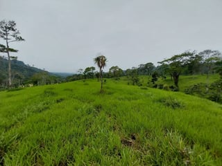 Finca en VENTA de 2 caballerías en Chicacao, Suchitepéquez - 5