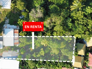 Terreno Comercial en Renta (Sobre Calle Principal) en Alta Verapáz - 3