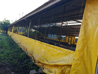 Terreno en Venta Km. 81 Masagua, antigua carretera a Puerto Quetzal - 5