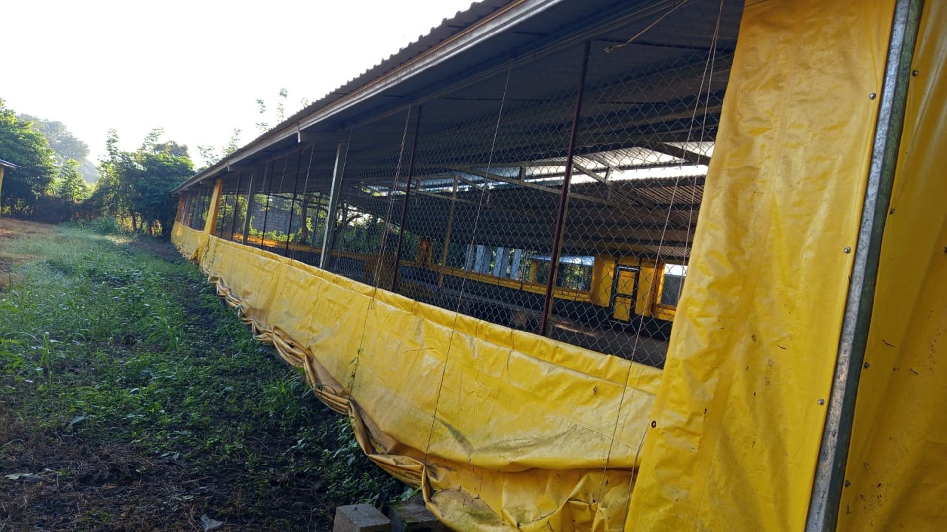Terreno en Venta Km. 81 Masagua, antigua carretera a Puerto Quetzal - Miniatura 5