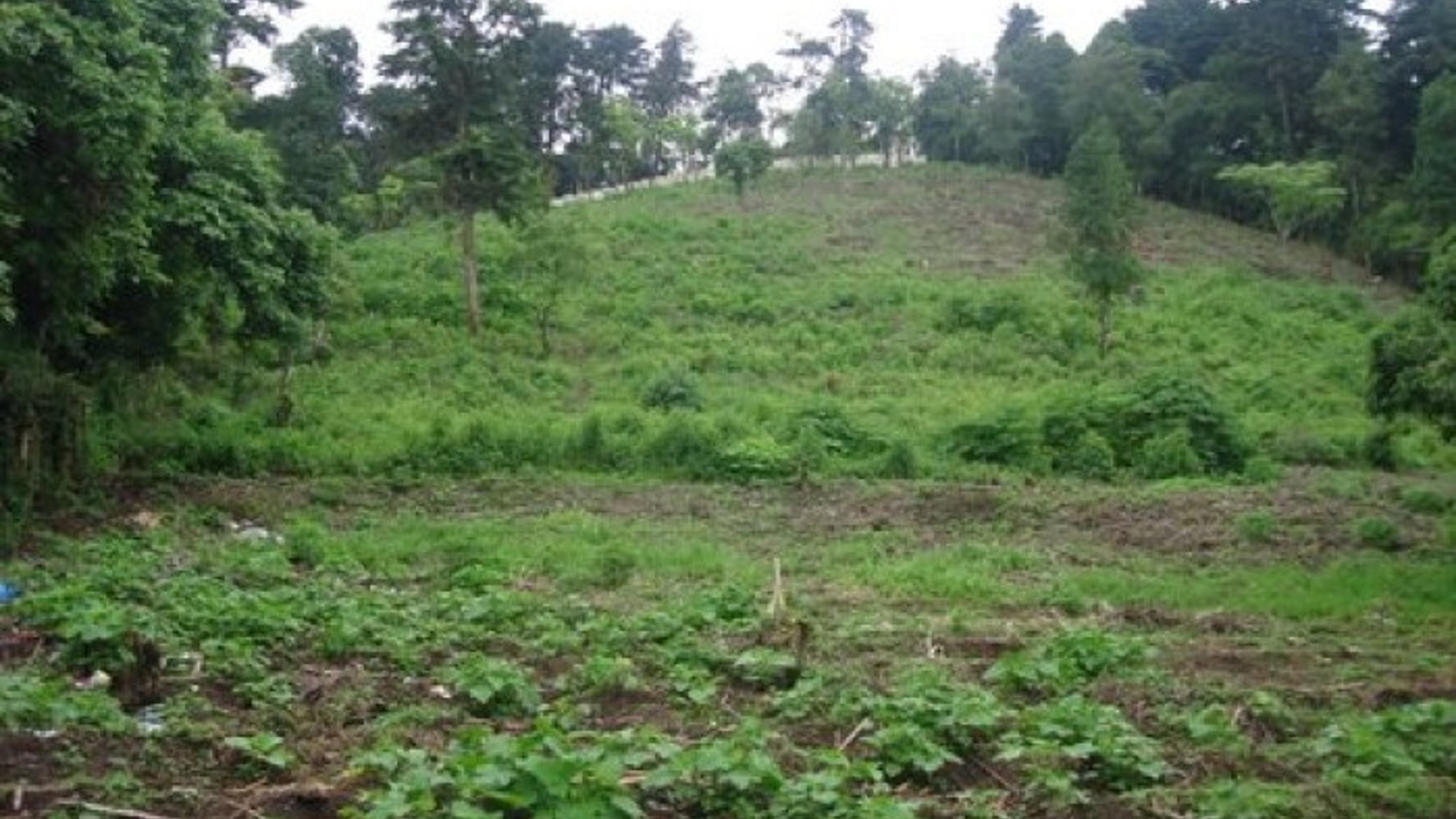 Terreno en Venta La  Ciénega Grande, San Jose Pinula