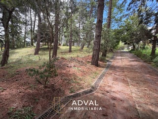 Terreno exclusivo en excelente ubicación Arrazola 1 CAES KM 17.5 - 4