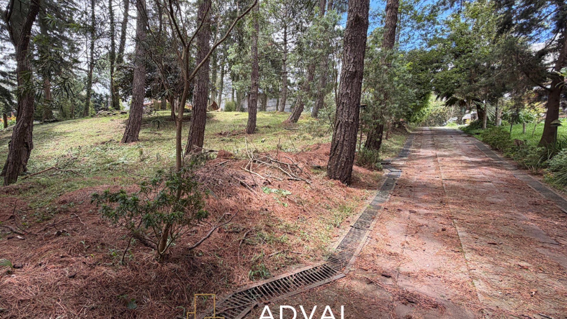 Terreno exclusivo en excelente ubicación Arrazola 1 CAES KM 17.5 - Miniatura 4
