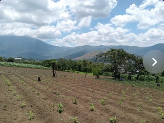 Terreno en venta Ciudad Vieja - 2