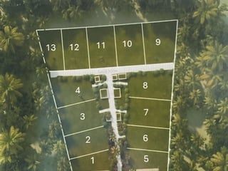 Terreno en venta en Rio Ciénega, Livingston - 3
