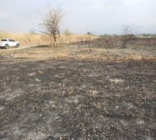 Terreno en Venta en Taxisco Santa Rosa KM 117 Lagunas
