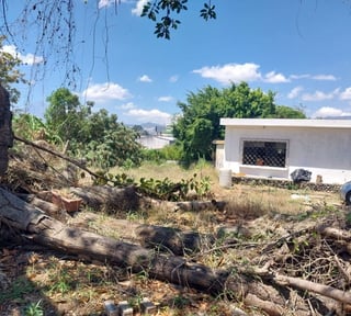 TERRENO EN VENTA EN Z12 COLONIA EL CARMEN