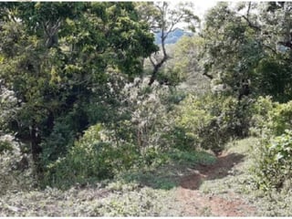 Finca en Venta en Fraijanes Guatemala - 5
