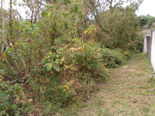 Terreno en VENTA en Casa y Campo Carretera a El Salvador km 23.5 - Image 3