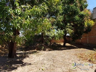 Terreno en Renta Para Inversion Asuncion Mita Jutiapa - 5