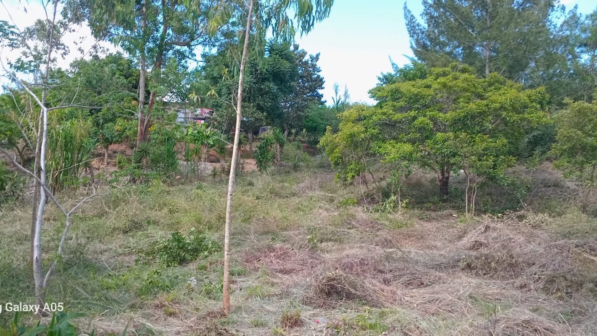 Se vende terreno en laguna Potrero Grande, Palencia - Miniatura 4