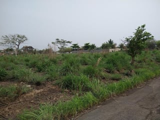 Terreno en Venta Quintas La Ponderosa, KM 77 - 2