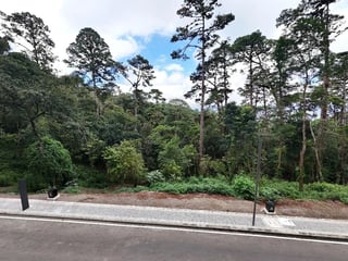 VENTA DE TERRENO PREMIUM LUCENTA DENTRO DE LEGADO DEL BOSQUE - 4